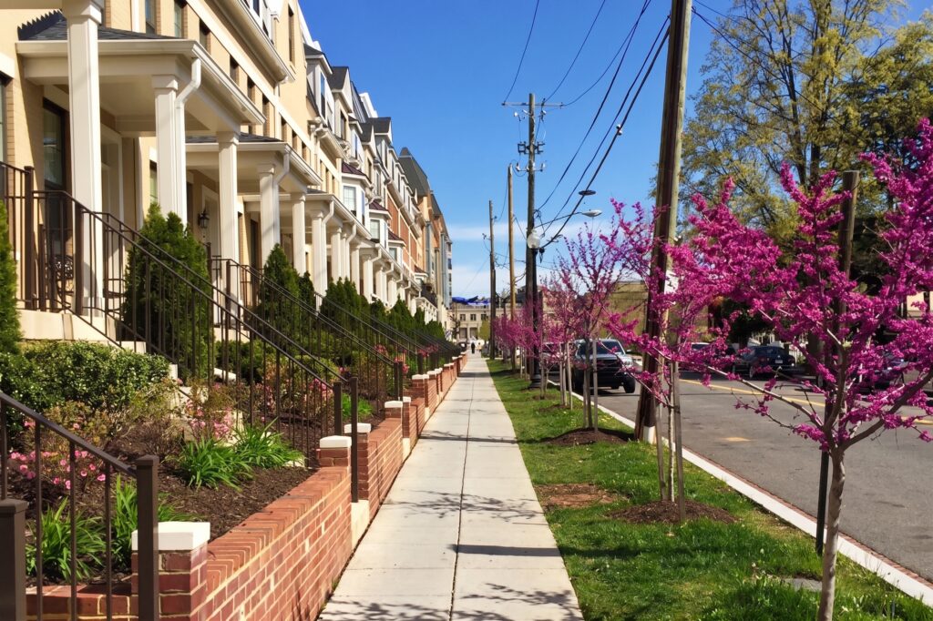 Row of beige townhouse facades with stoops and black metal railings along a sunny sidewalk, pink flowering trees lining the street on the right.