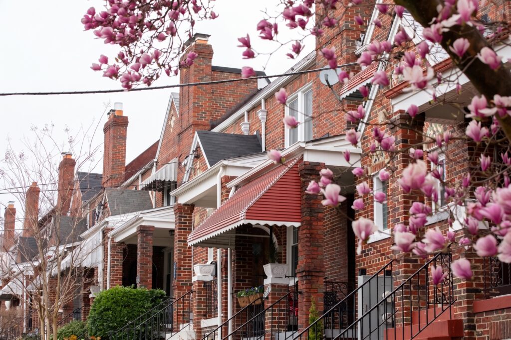Brick porch-front rowhouses with red awnings and a flowering magnolia tree
